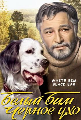 Fekete fülű fehér Bim (1977) teljes sorozat online magyarul