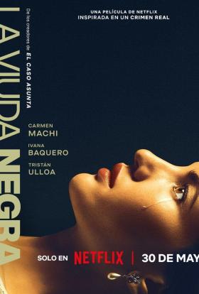 Az özvegy terve (2025) online film magyarul