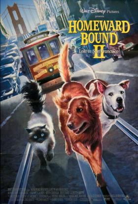 Úton hazafelé 2. - Eltévedve San Franciscóban (1996) online film magyarul