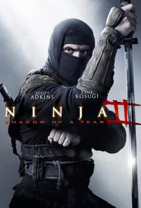 Ninja 2. - A harcos bosszúja (2013) online film magyarul